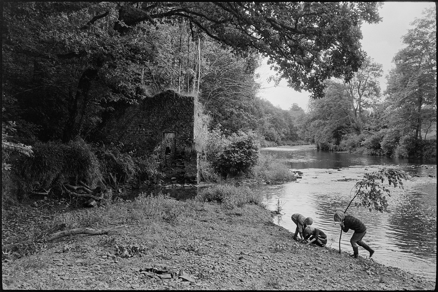 Children playing beside river with ruined mill.
[Children playing in the River Torridge beside the ruins of Dolton Mill at Halsdon, Dolton. One of the children is holding a tree branch.]