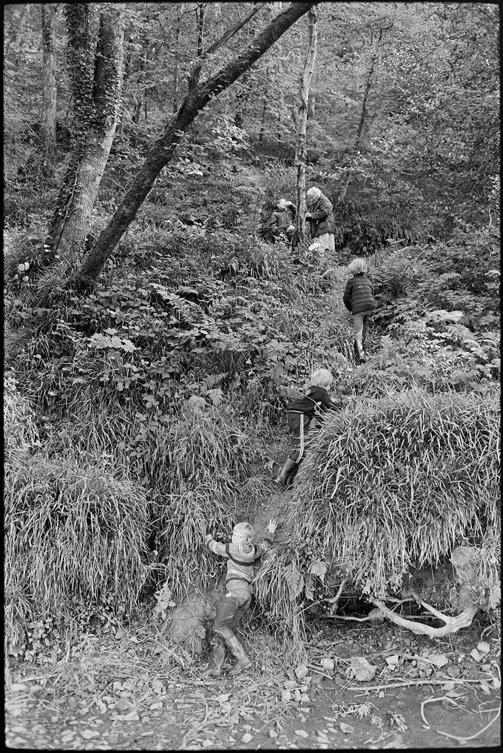 Children playing beside river with ruined mill.
[Children climbing a muddy bank by the River Torridge near Dolton Mill at Halsdon, Dolton. A woman is waiting with a child on a path at the top of the bank, by trees.]