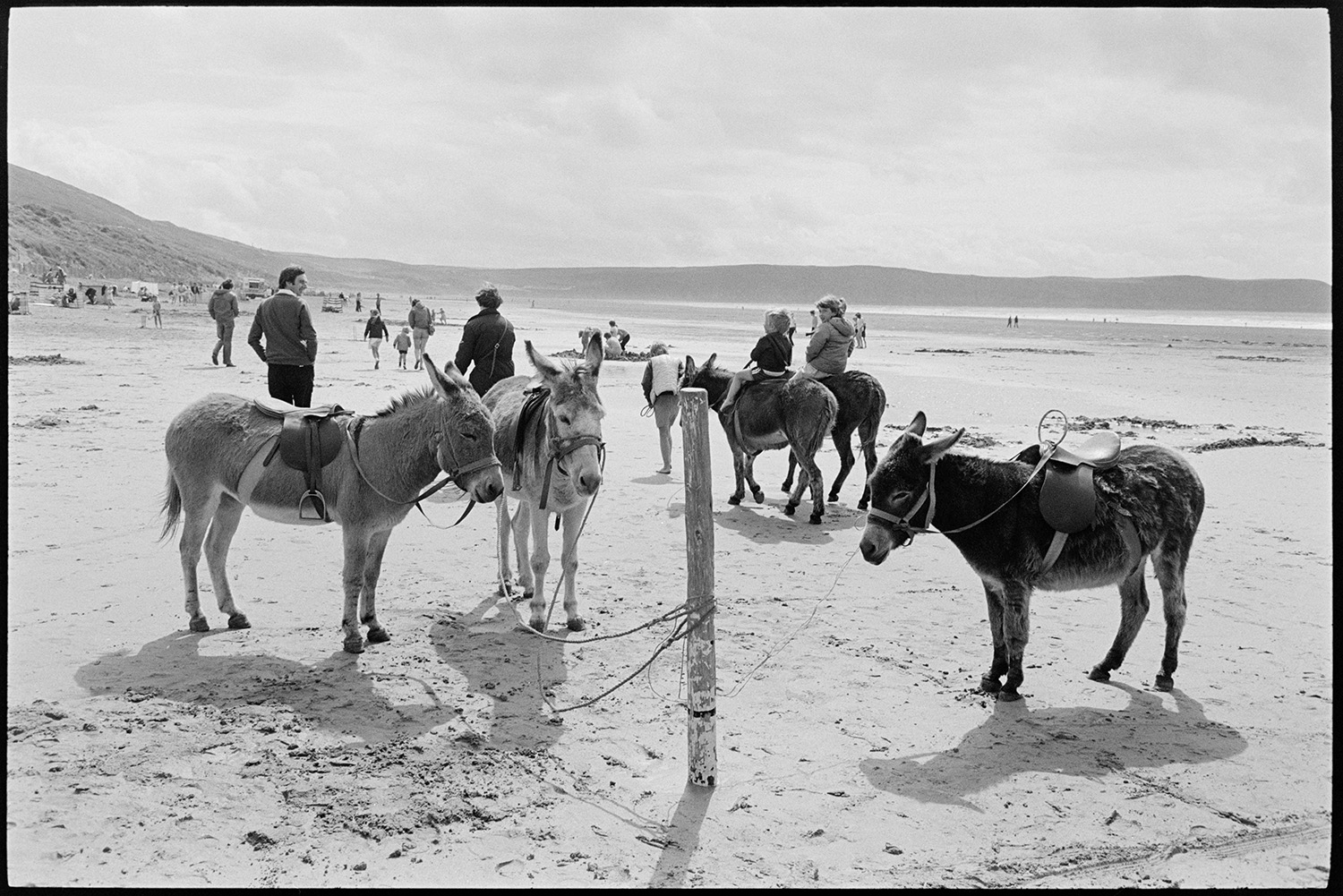Beach scenes with donkey rides, bathing huts, people swimming.
[Three donkeys with saddles, waiting to give rides at Woolacombe beach. They are tethered to a wooden post on the beach. Two children are riding on donkeys in the background, past other holiday makers.]