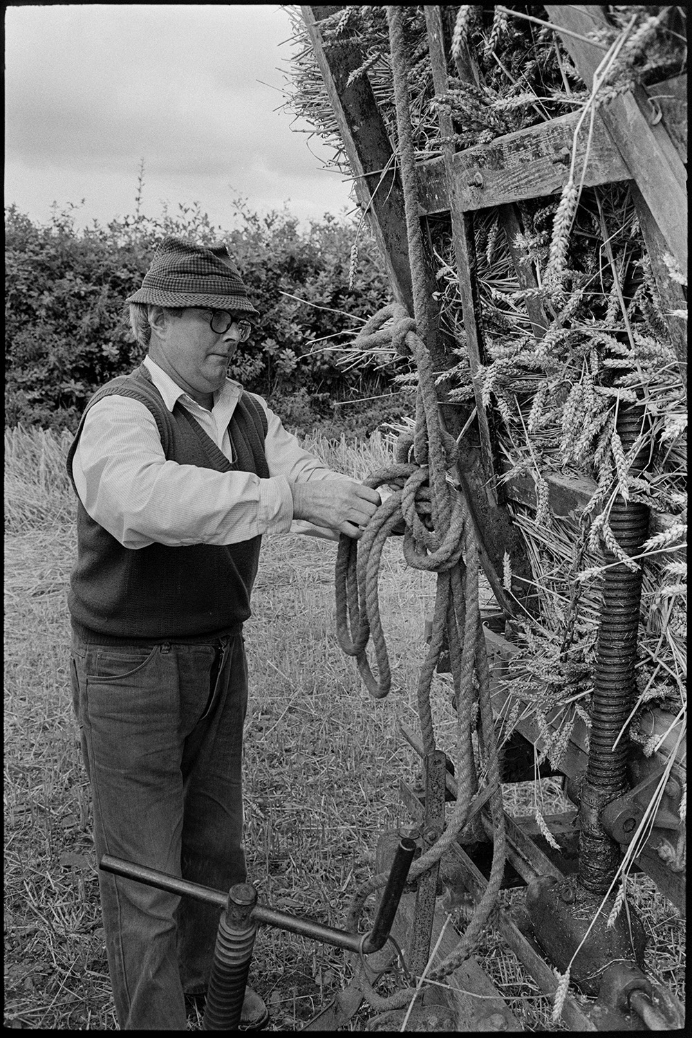 Farmers making wheatrick from stooks, loading trailer. 
[A man tying rope around a trailer to secure sheaves of wheat, in a field at Westacott, Riddlecombe. The wheat is being taken to build a wheat rick in another field.]