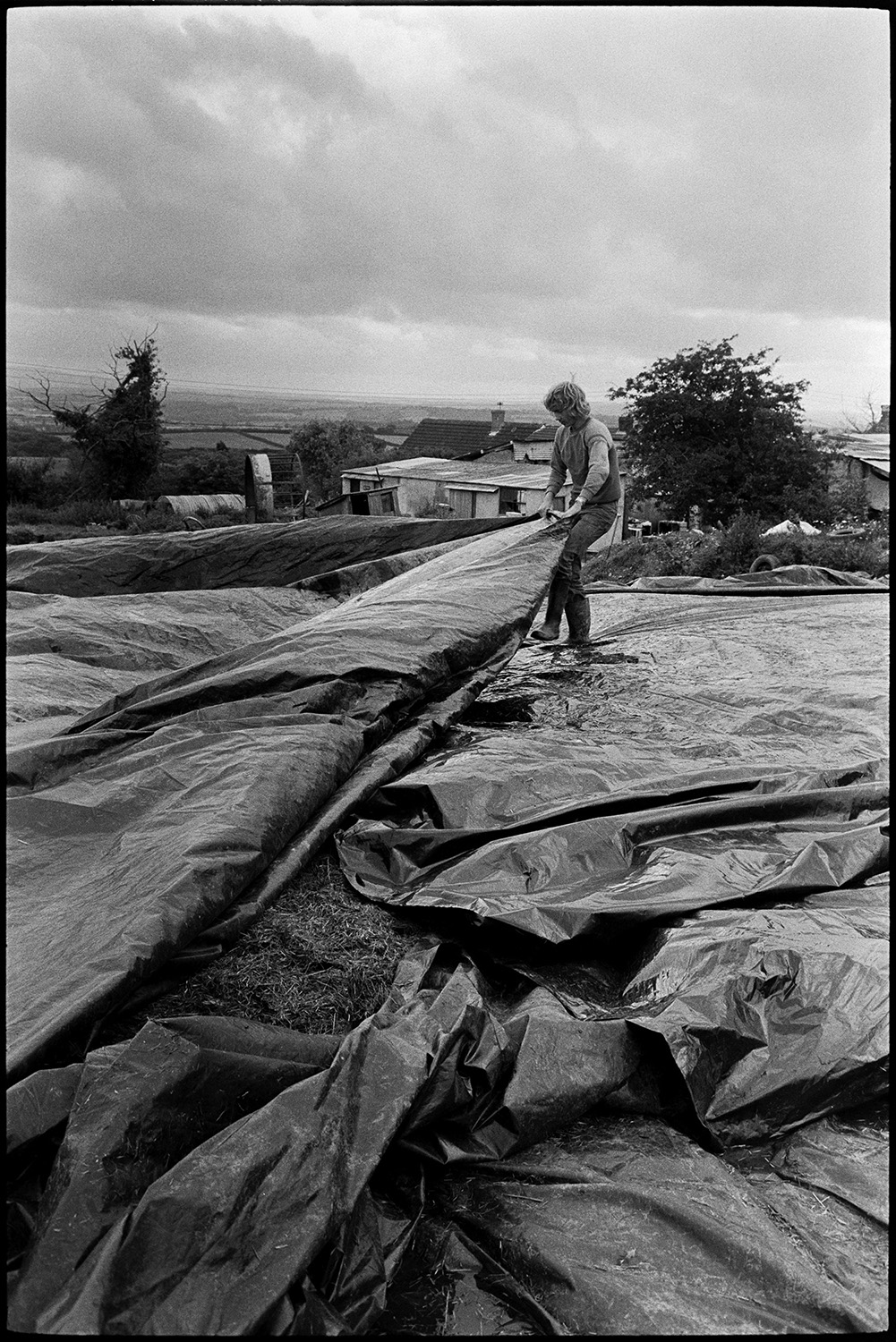 Farmer covering silage with large sheet of polythene. 
[A man covering a mound of silage with a polythene sheet at Upcott, Dolton. Sheds and rooftops can be seen in the background.]