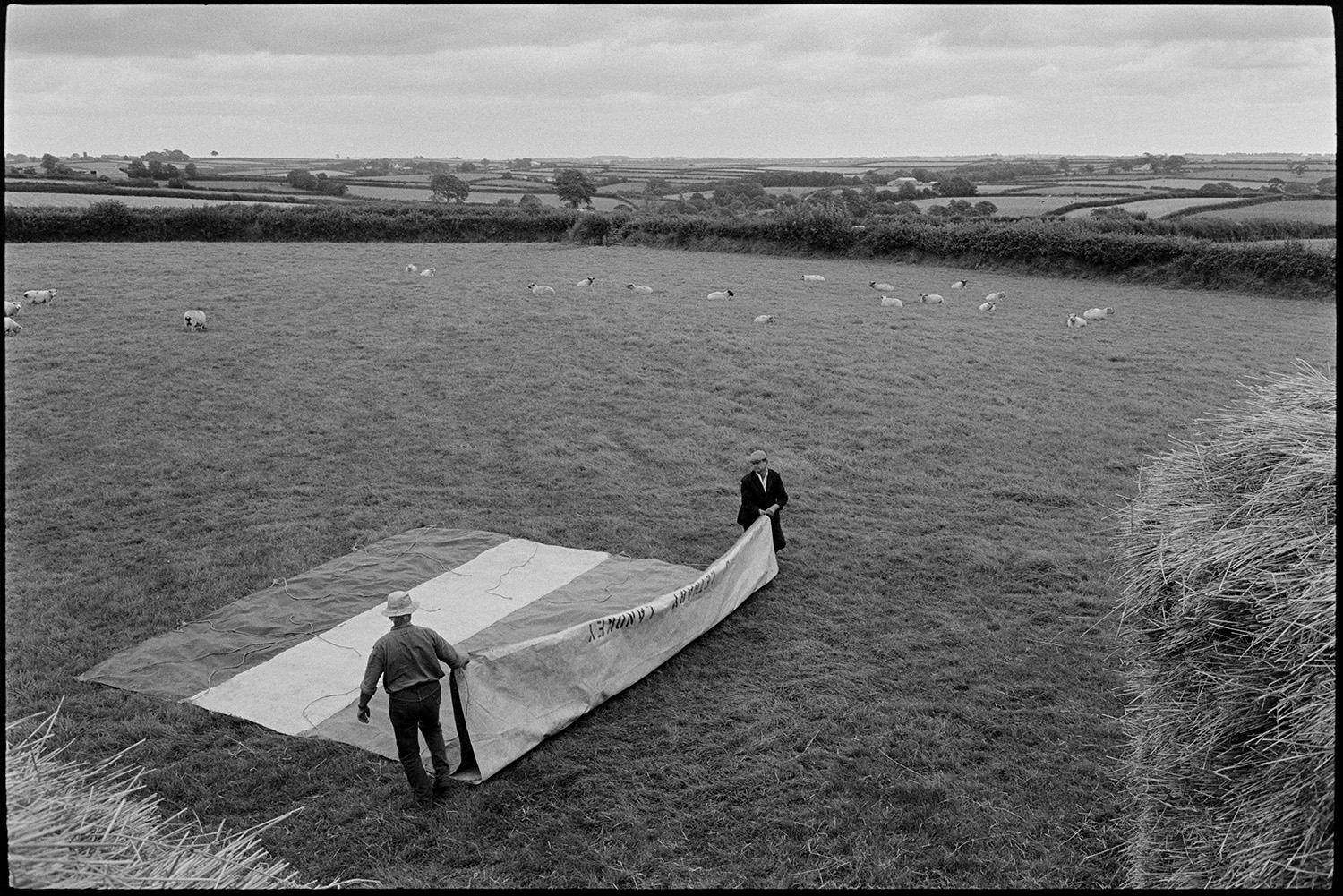 Farmers building wheat rick, view on top of rick. Folding tarpaulin.
[Two men, possibly from the Middleton family, in a large field with sheep folding a tarpaulin used while building a wheat rick at Westacott, Riddlecombe. Distant views of fields, hedges and trees can be seen in the background.]