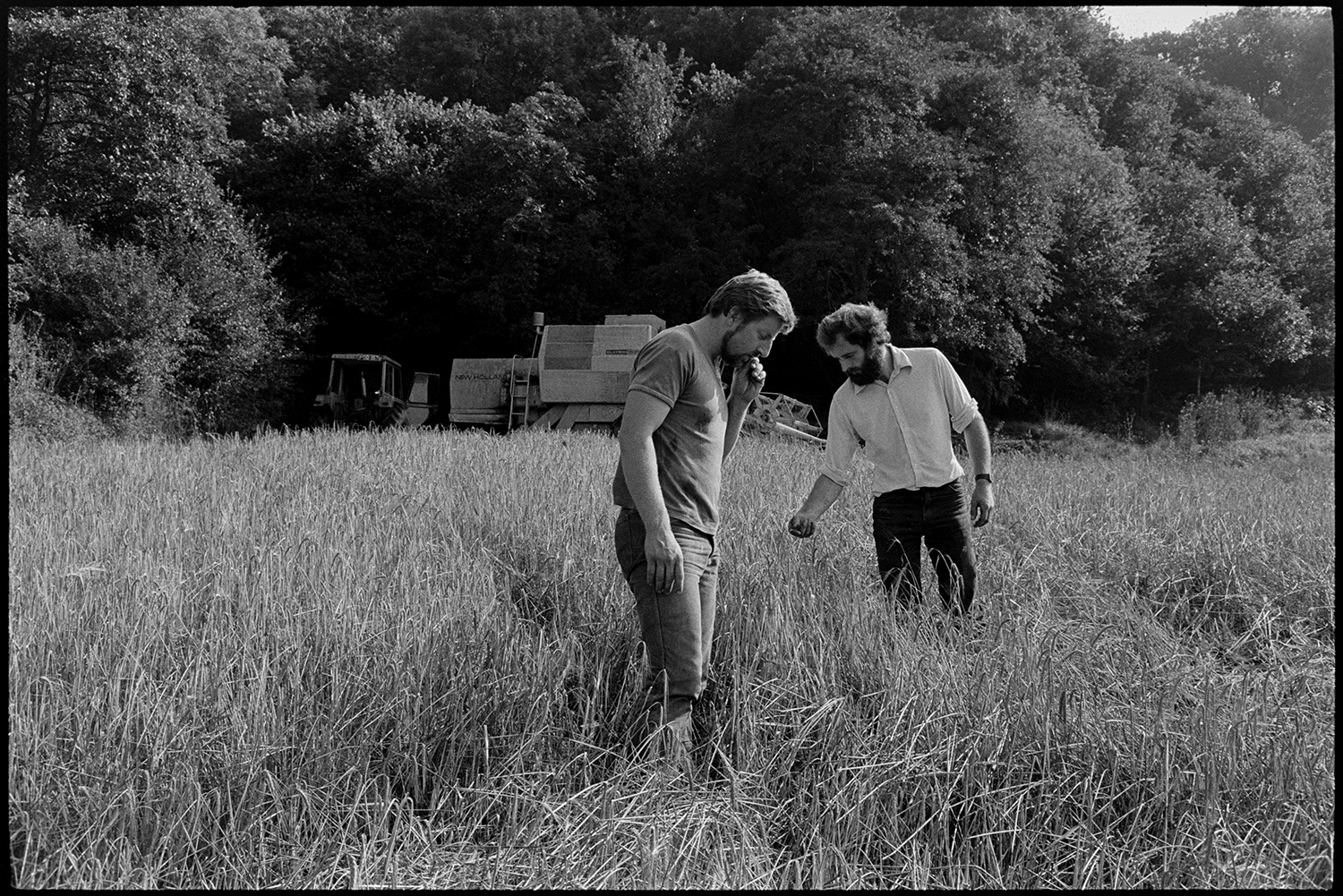 Farmers setting up combine harvester and checking crop of barley.
[Two men standing in a field of barley, checking it for readiness to harvest at South Harepath, Beaford. A tractor and combine harvester is visible in the background.]