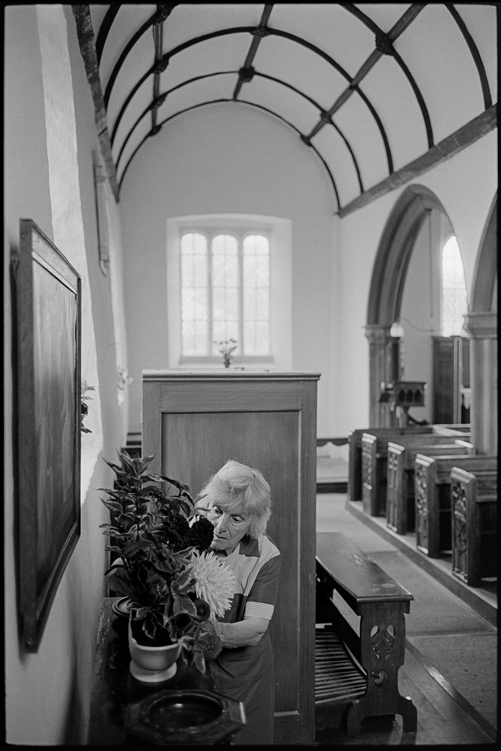 Women decorating church for Harvest Festival, flowers. Religious painting on wall. 
[Evelyn Folland making a floral decoration near the organ for the Harvest Festival  at Dowland Church. Carved wooden pews can be seen in the background.]