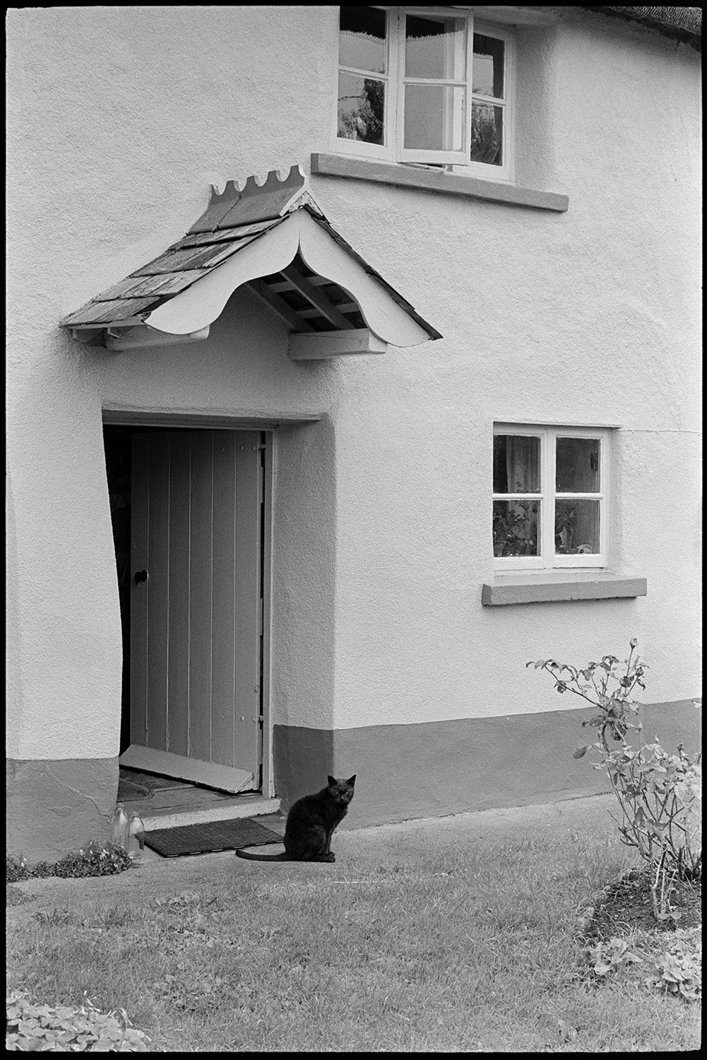 Cottage door with porch and cat.
[A black cat sitting outside an open front door of a cottage at Iddesleigh, with a slated porch.]