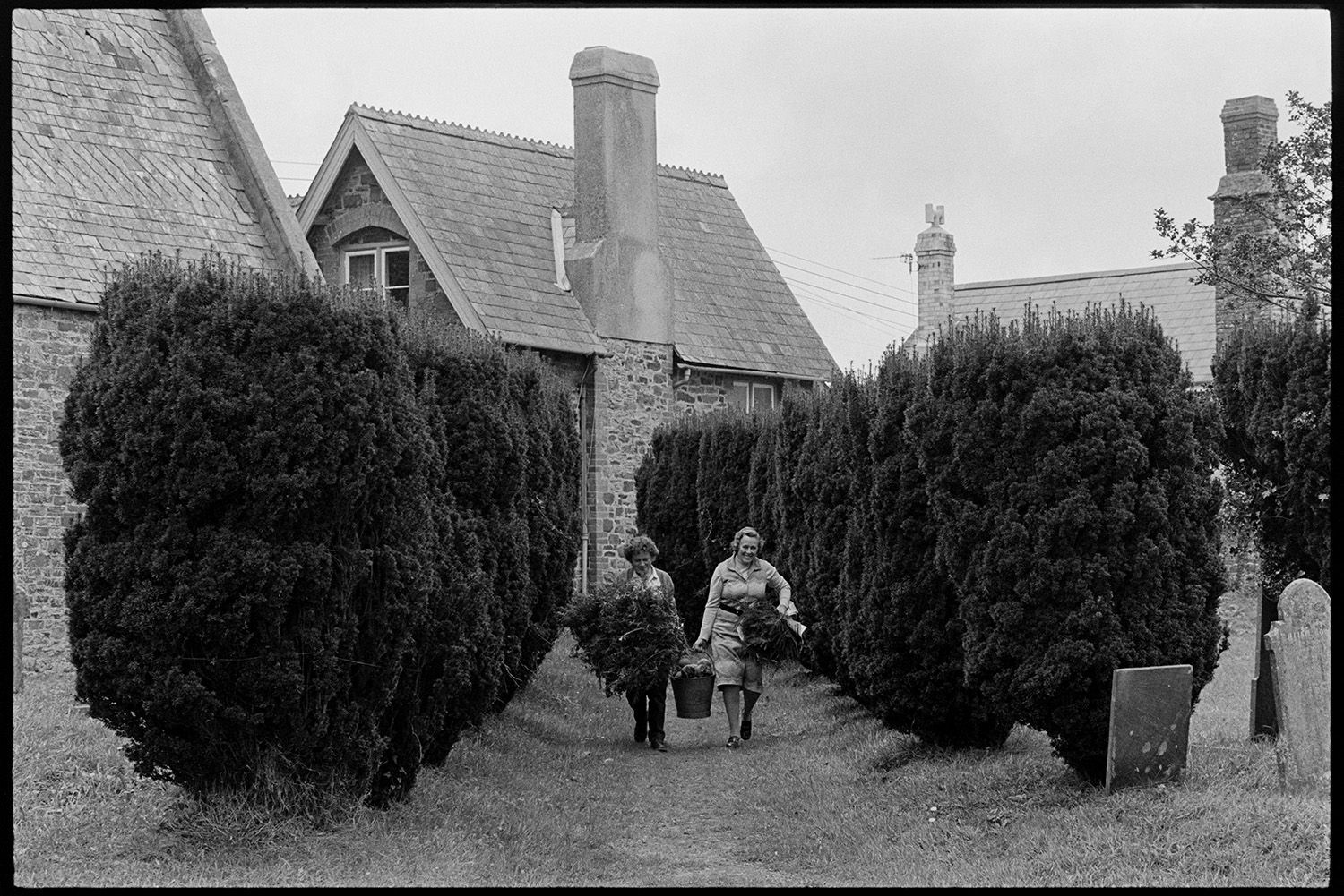 Harvest Festival, church being decorated, flowers and produce, women.
[Two women walking up the Yew tree lined church path to Atherington Church carrying bundles of foliage and a bucket with flowers, to decorate the church for the Harvest Festival.]