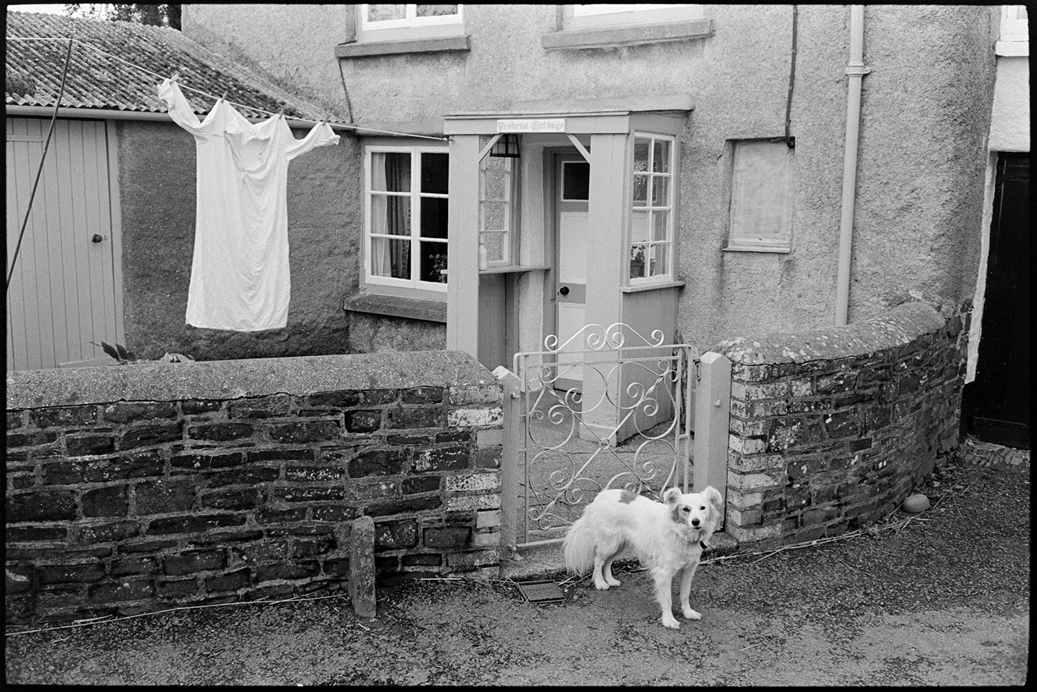Small house with clothes on the washing line, nightshirt ? Dog, front door with porch. 
[A house in North Street, Dolton with a porch and a washing line with a shirt hung up to dry. A dog is stood by the gate to the house.]