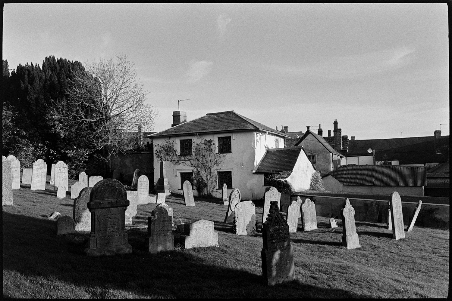 Town graveyard in evening light, houses and distant view. 
[Evening light shining on Hatherleigh churchyard. Shadows are also falling across the churchyard. Houses can be seen in the background, one of which has a rose growing up it.]