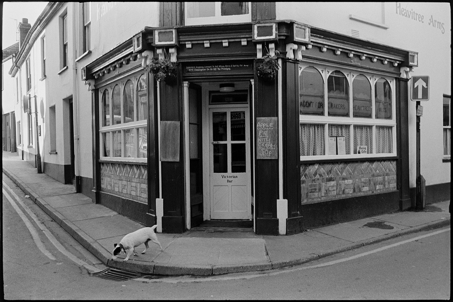 Street scenes with shop fronts, window display of clothes shop. 
[A dog on the street outside the entrance to the Heavitree Arms pub in Mill Street, Bideford. A chalk board is advertising apple pie outside. The windows are arched and the brickwork below is patterned.]