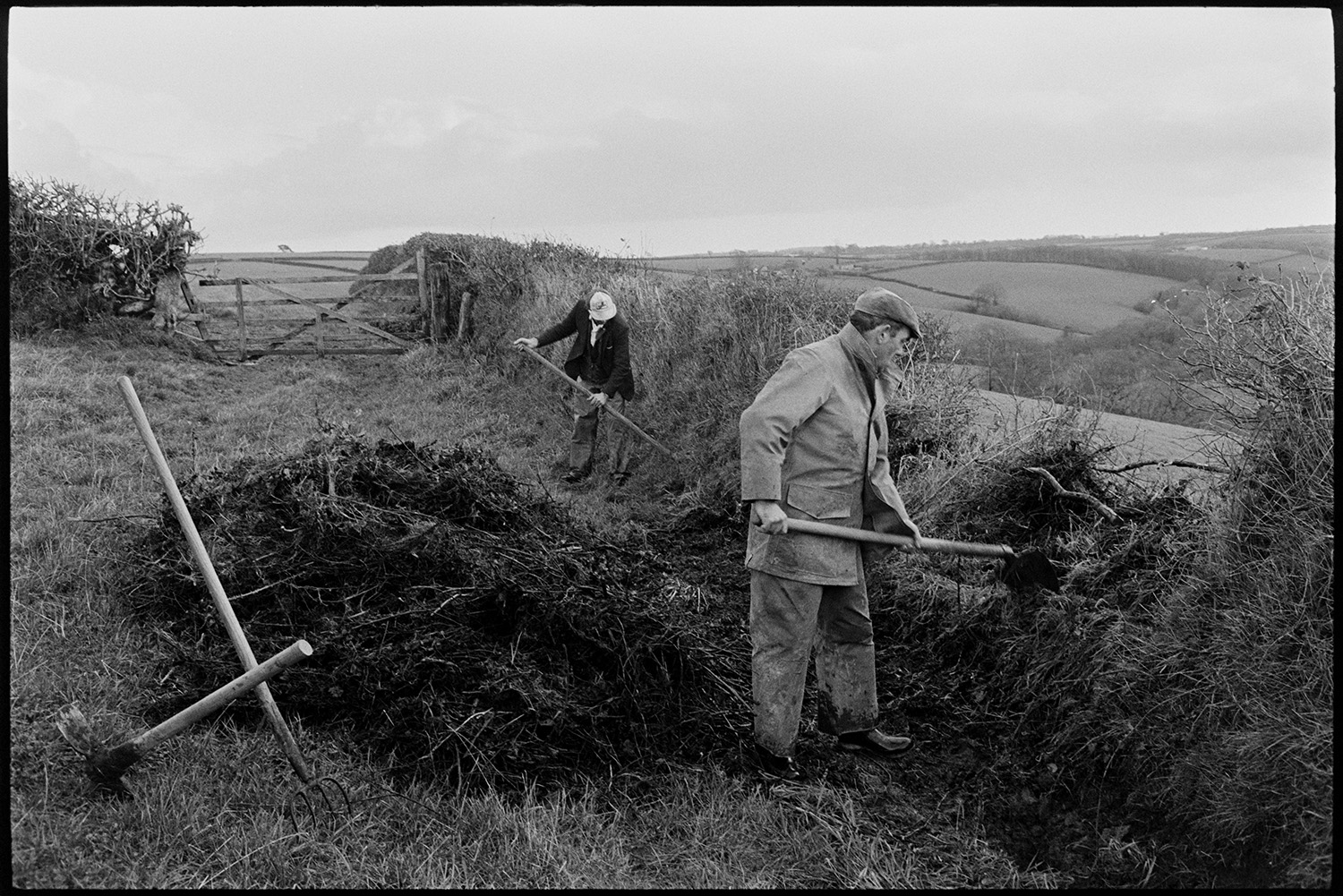 Farmers repairing hedge bank, clatting. 
[Two men clatting  a hedge (building up the hedge with turf) in a field at Narracott, Hollocombe. A fork and pickaxe are visible in the foreground by a pile of brambles, and a wooden field gate can be seen in the background.]