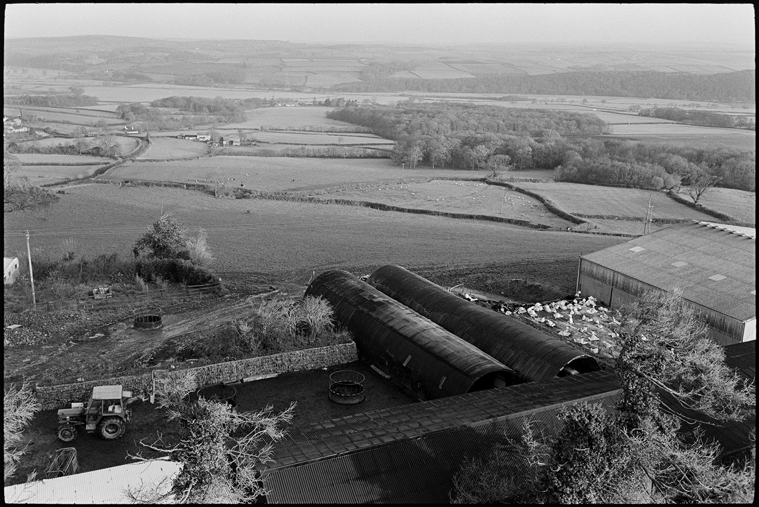 Village and thatch and cob farm, gravestones, viewed from top of church tower, early morning. 
[Corrugated iron barns, a tractor and feeders in a farmyard at Atherington taken from the church tower in the early morning. Fields and woodland can be seen in the background.]