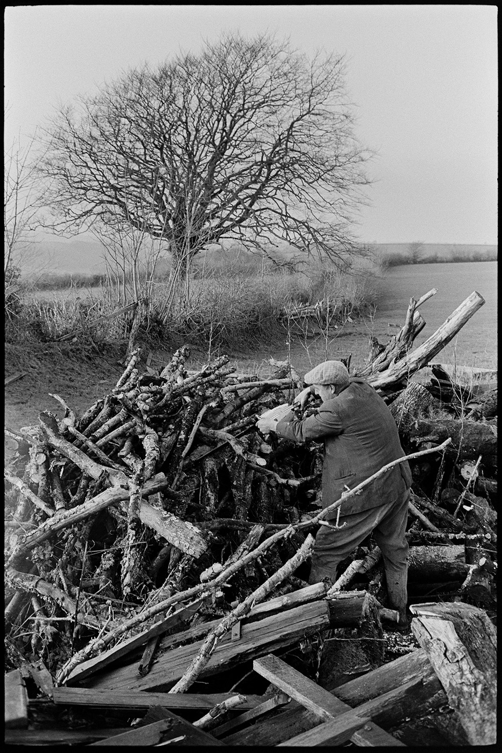 Farmer sawing logs, woodpile with chainsaw. 
[George Ayre sawing up logs in a woodpile in a field at Ashwell, Dolton. He is using a chainsaw.]