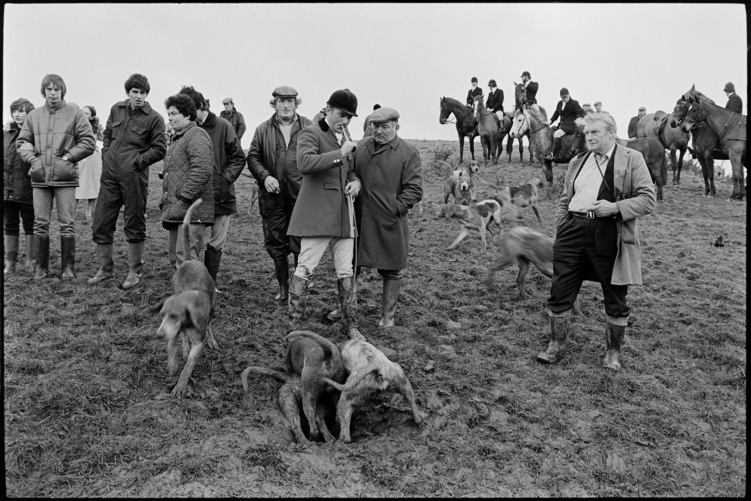 Hunt, fox gone to earth, hounds waiting while men try to dig out fox. 
[Hounds trying to dig out a fox which has gone to earth in a field at Highampton. A huntsman is blowing a horn. Mounted rider and hunt followers are gathered around.]