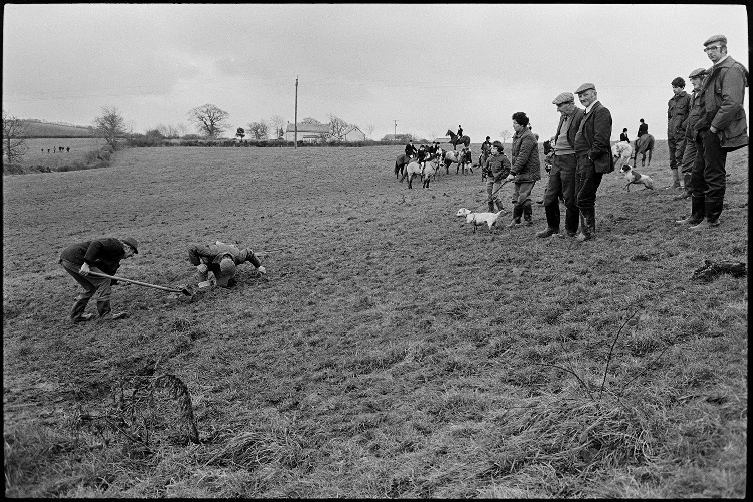 Hunt, fox gone to earth, hounds waiting while men try to dig out fox. 
[Mounted riders and hunt followers watching two men try to dig out a fox which has gone to earth, with spades, in a field at Highampton.]