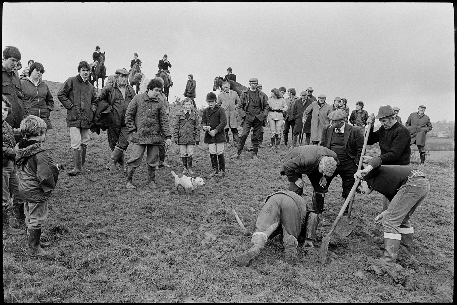 Hunt, fox gone to earth, hounds waiting while men try to dig out fox. 
[Mounted riders and hunt followers watching men try to dig out a fox which has gone to earth, with spades, in a field at Highampton. One person has a dog on a lead.]