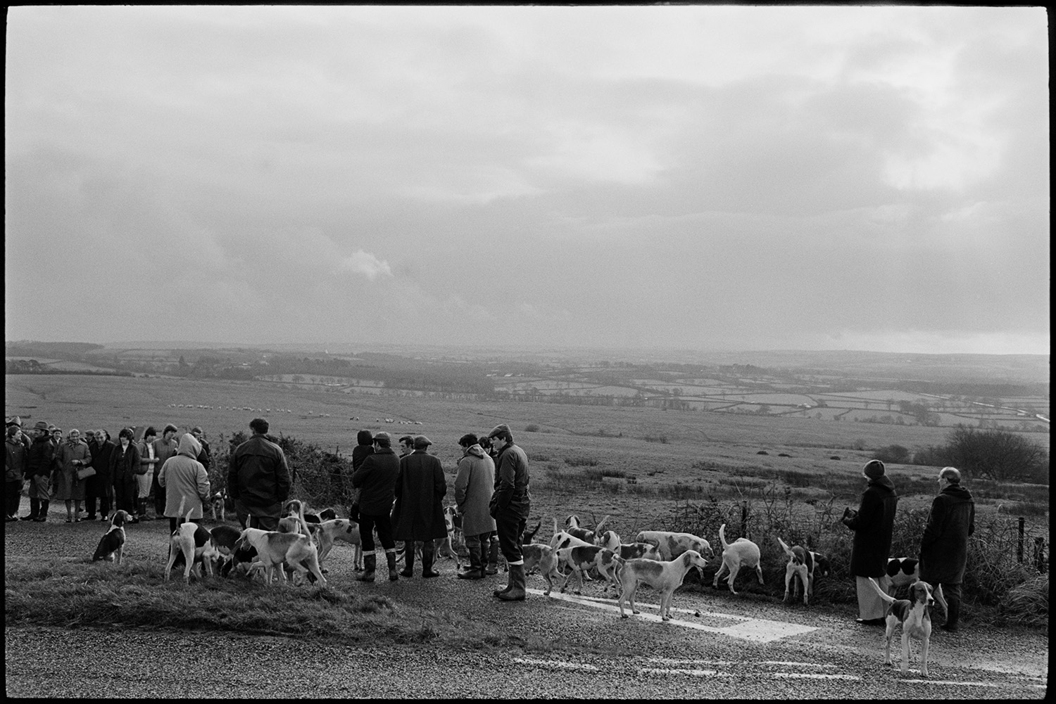 Hunt, Beagle hounds leaping out of van, meet at Moor, setting off over moorland. 
[Huntsmen with Beagle hounds and hunt followers at a hunt meet at a road junction on Hatherleigh Moor. The moorland can be seen in the background.]