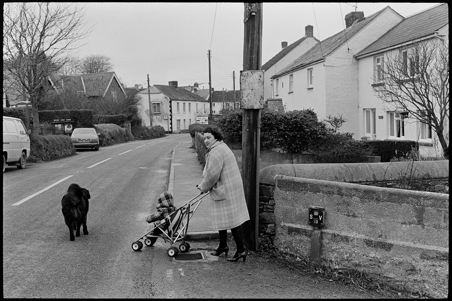 Farmer, milkman doing last milk round, showing new man the ropes, milk bottles.
[A woman wearing a winter coat pushing a child in a pushchair along a street in Beaford. A dog is with them. Other houses and parked cars can be seen in the background.]