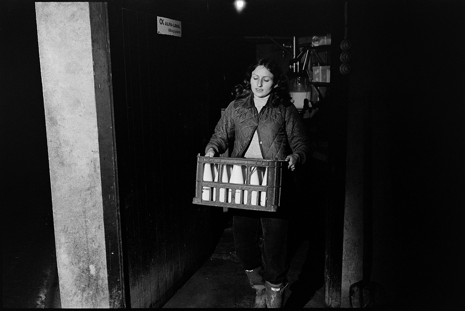 Women in dairy filling milk bottles, early morning.
[A woman carrying a crate of milk bottles out of the dairy at Jeffrys Farm, Beaford, also known as Mill Road Farm.]