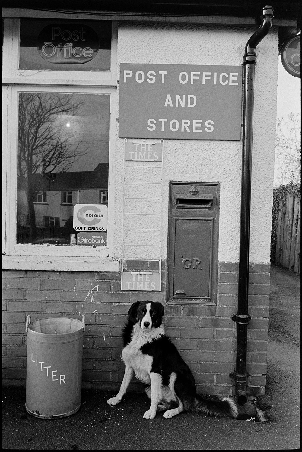 Front of village Post Office with letter box, waiting dog. 
[A dog sitting in front of the corner of Beaford Post Office and Stores next to a litter bin. A post box is mounted in the wall.]