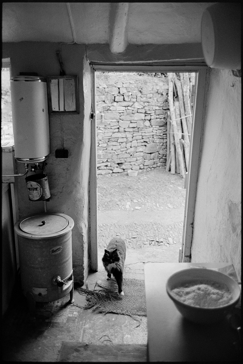 Cottage door with boiler for hot water, geyser, cat entering.
[A view from the interior of a room in Chaplands Cottage, Beaford containing a boiler and a geyser, looking through the open doorway into the yard outside. A cat is entering the room.]