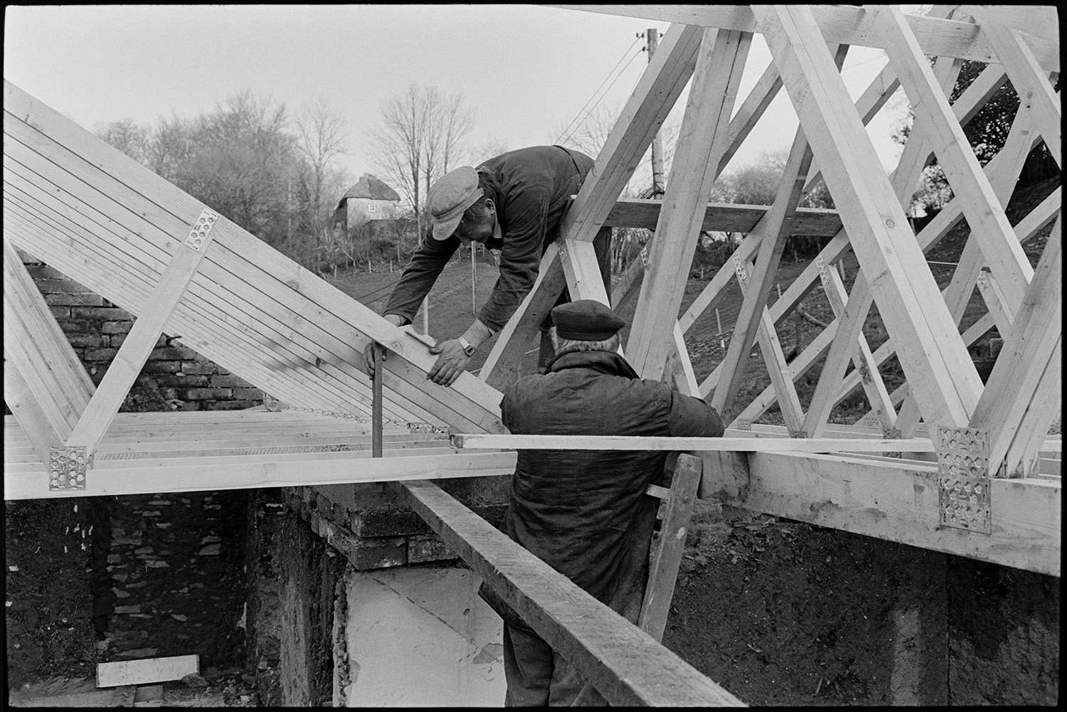 Builder renovating cottage with new roof.
[Two builders renovating a cottage with a new roof at Millhams, Dolton. Wooden roof timbers, cob and brick walls are shown. Trees and a thatched cottage are visible in the background, through the roof timbers.]