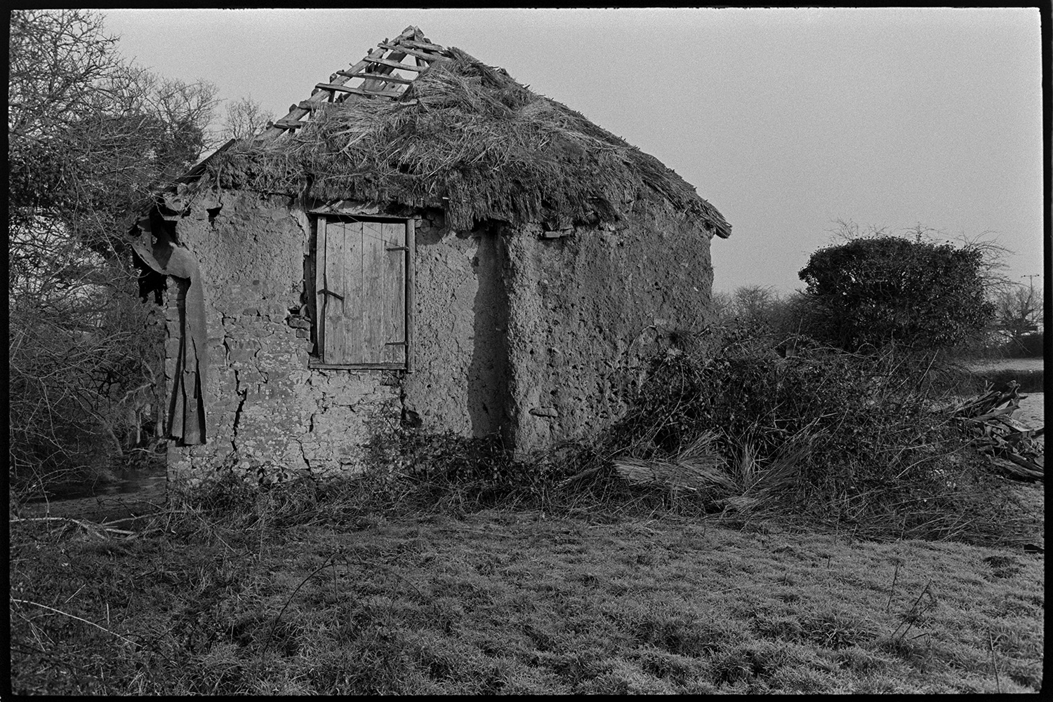 Ruined thatch and cob barns, with views from nearby stream, trees.
[A ruined thatch and cob barn, with a wooden door, in a field of rough grass at Middle Week, Iddesleigh. The roof timbers of the barn are exposed and hedges and brambles surround the barn.]
