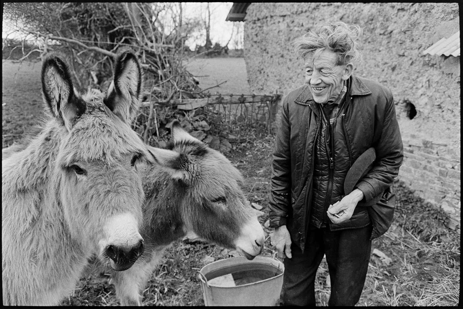 Farmer and his donkeys. 
[Bill Cooke with two donkeys, by a barn in the farmyard at Colehouse, Riddlecombe.]