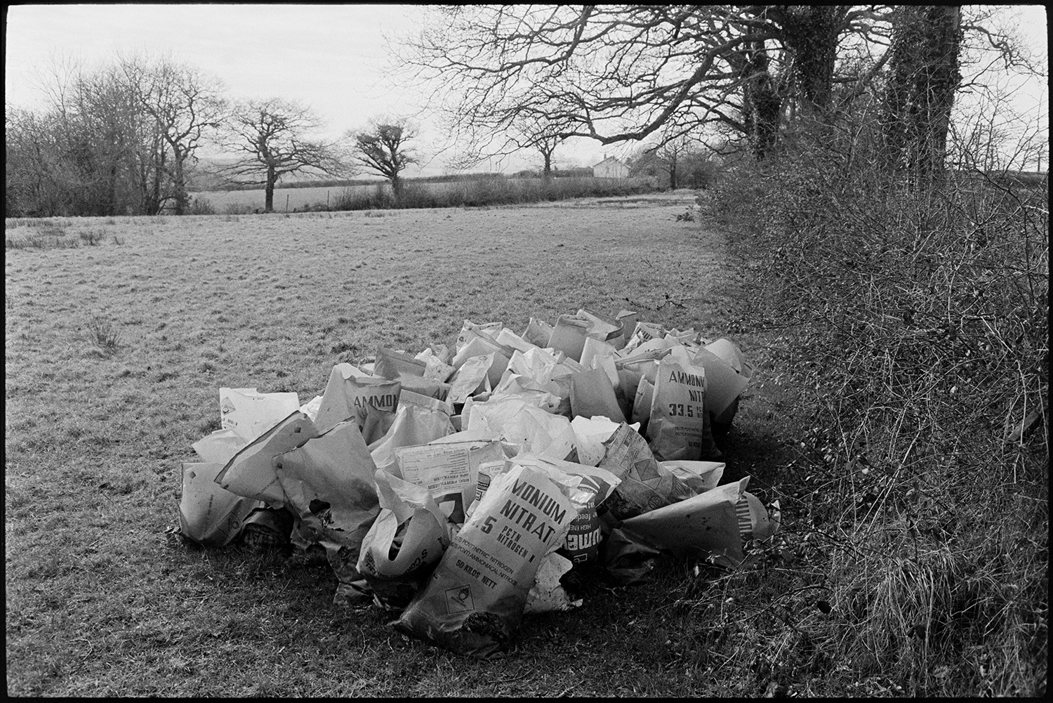 Polythene bags of rubble in field. 
[A pile of polythene bags full of rubble by a hedge in a field at Upcott, Dolton.]