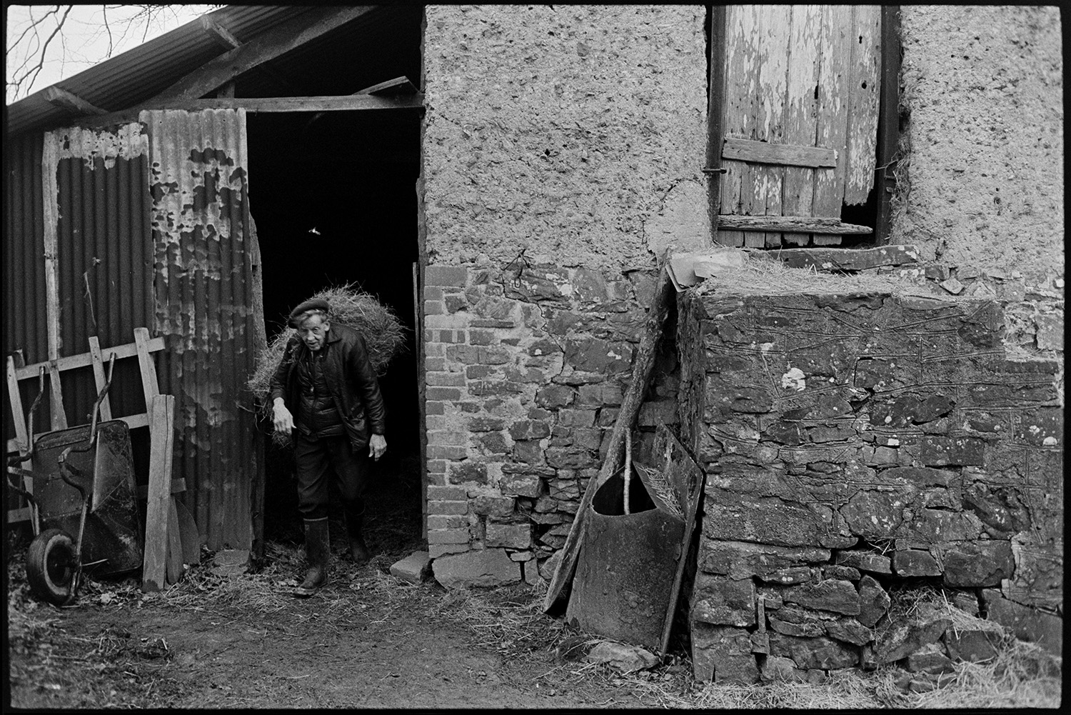 Farmyard, barn granary, farmer with cows and chickens. 
[Bill Cooke carrying a bale of hay out of a corrugated iron lean-to next to a stone and cob granary in the farmyard at Colehouse, Riddlecombe.]
