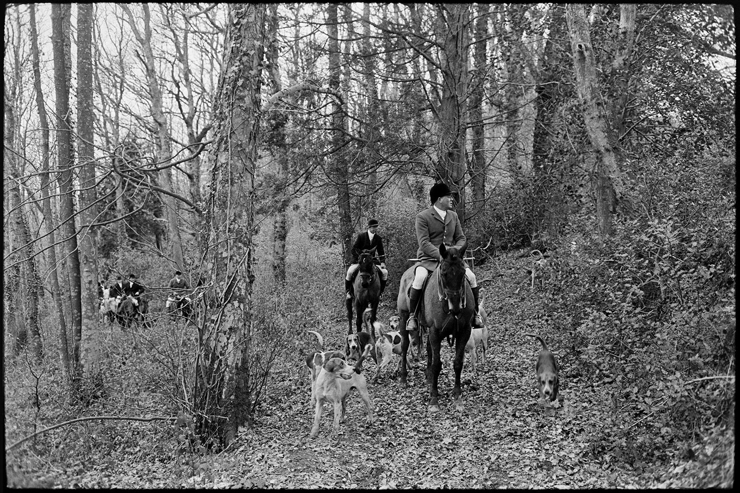 Hunt in wood, washing horses feet in stream afterwards. 
[Huntsmen on horseback and hounds hunting in woodland at Halsdon, Dolton.]