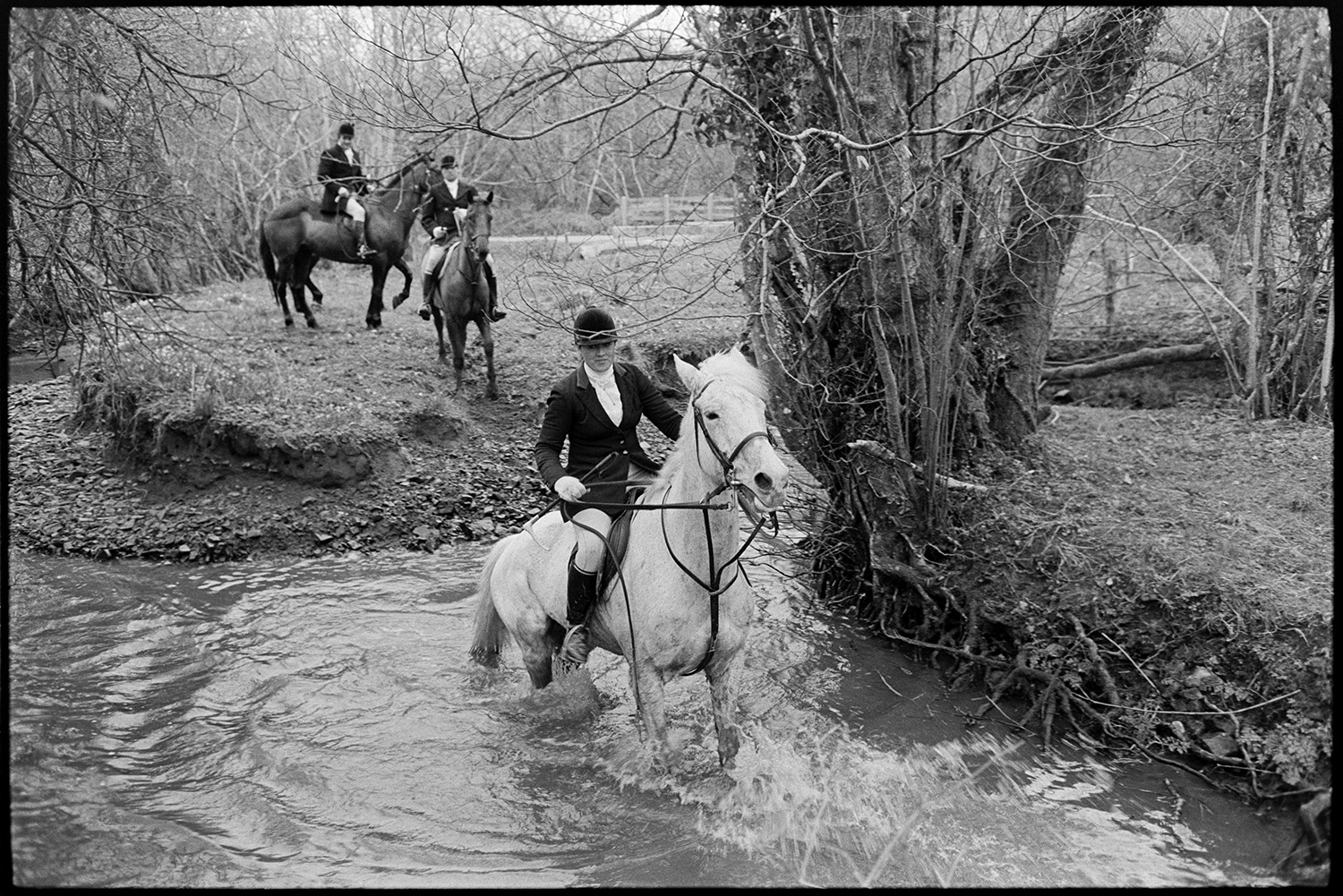 Hunt in wood, washing horses feet in stream afterwards. 
[Huntsmen riding through a stream near woodland to wash their horses feet after a hunt at Halsdon, Dolton.]