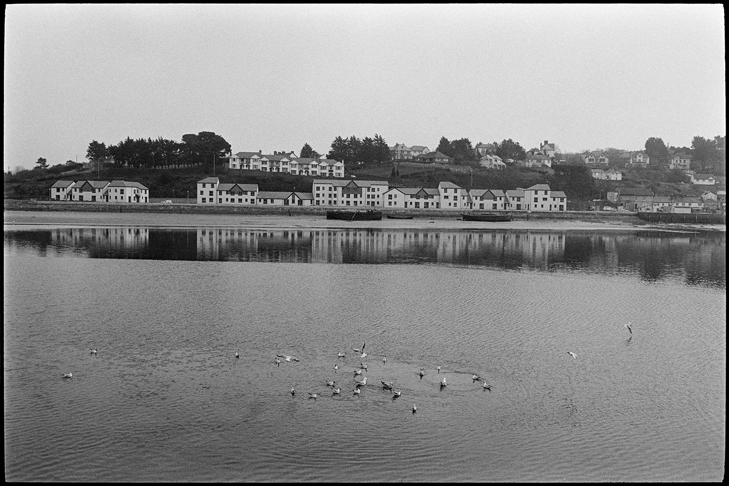 River and quay, oarsmen, fishermen mending nets, old bridge in background, fishing boats. 
[Seagulls on the River Torridge at Bideford. Boats are moored on the opposite bank of the river and houses can be seen on the river front.]