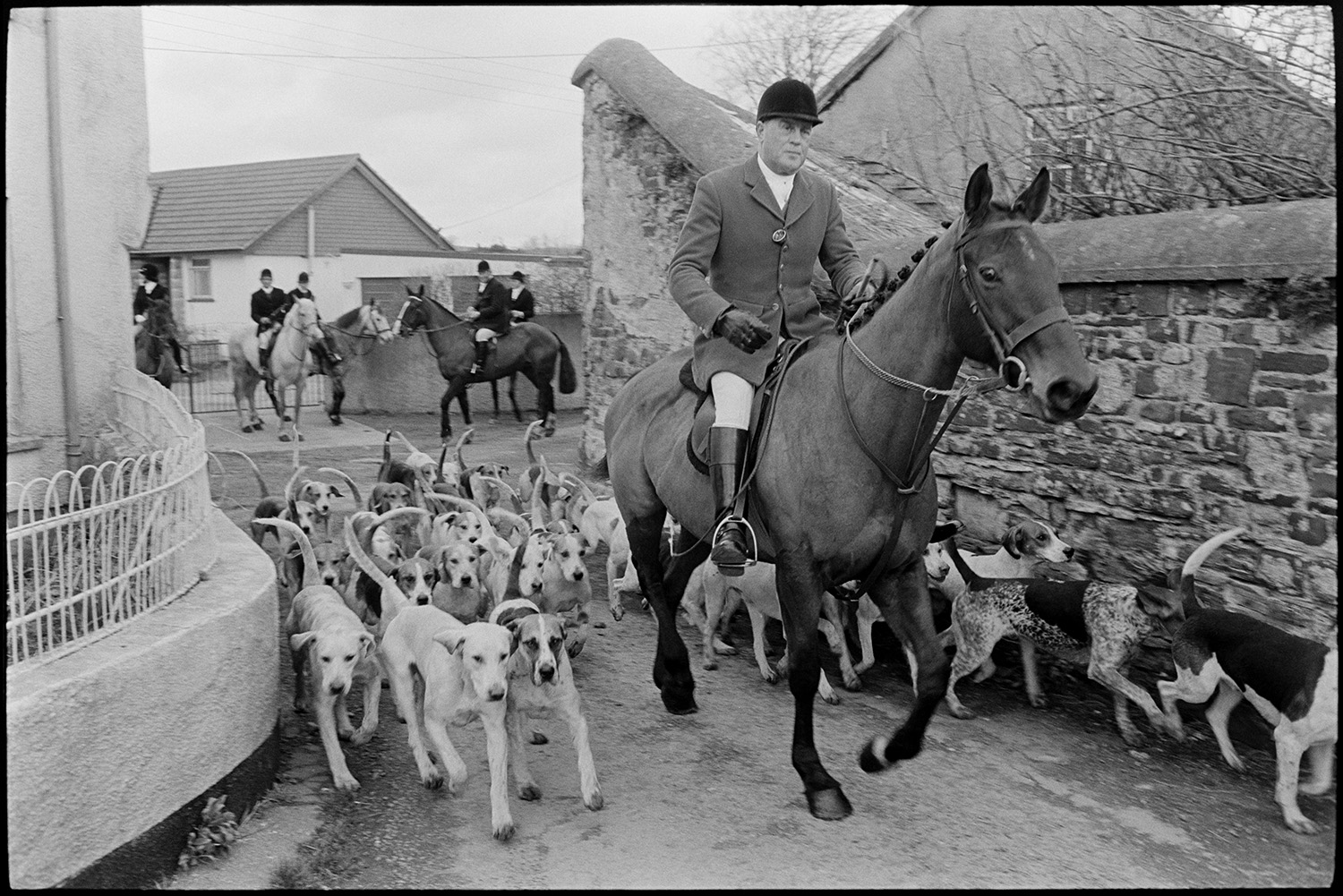 Hunt meet at house, followers and riders waiting, master, hounds setting off through village.
[Hunt Master mounted on a horse and surrounded by a pack of hounds leading the hunt off along a street through Dolton. In the background are five mounted members of the hunt.]