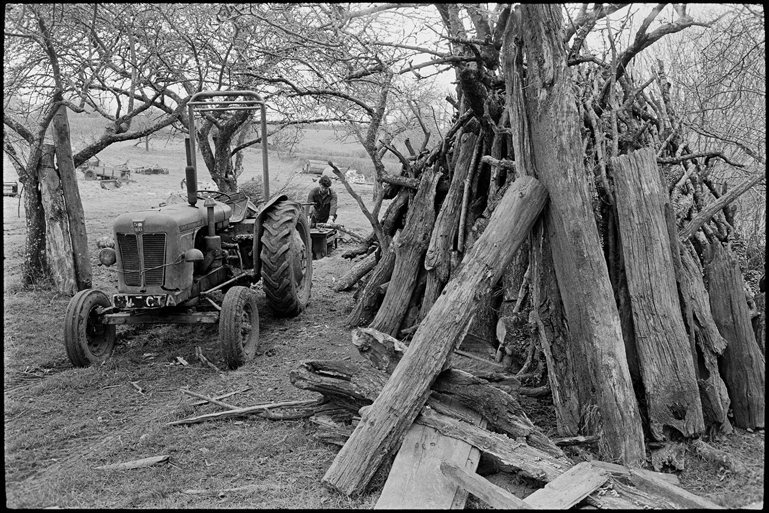 Farmer sawing logs on circular saw, woodpile in orchard. 
[Morley King sawing logs on a circular saw in an orchard at Middle Week, Iddesleigh. A tractor is parked in front of him, which he is using to drive the saw, and a woodpile is visible in the foreground.]