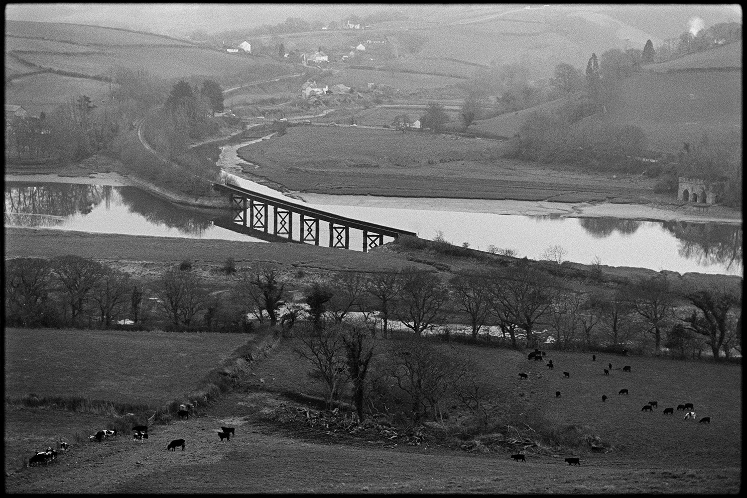 Old railway bridge across river. 
[The railway bridge across the River Torridge at Pillmouth, Landcross. Cattle are grazing in a field in the foreground and a landscape with fields, trees, houses and a castellated building is visible in the background.]