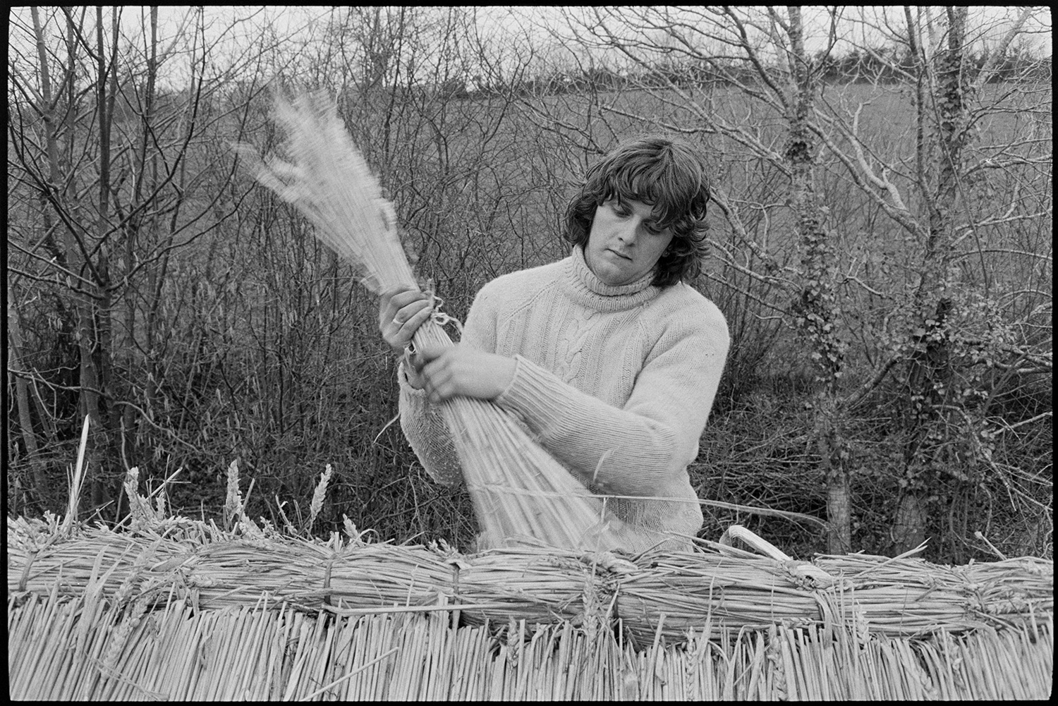 Thatcher thatching ridge of cob cottage, making spars. 
[A man thatching the ridge of a cob cottage at Addisford, Dolton. He is holding a bundle of reed and trees can be seen in the background.]