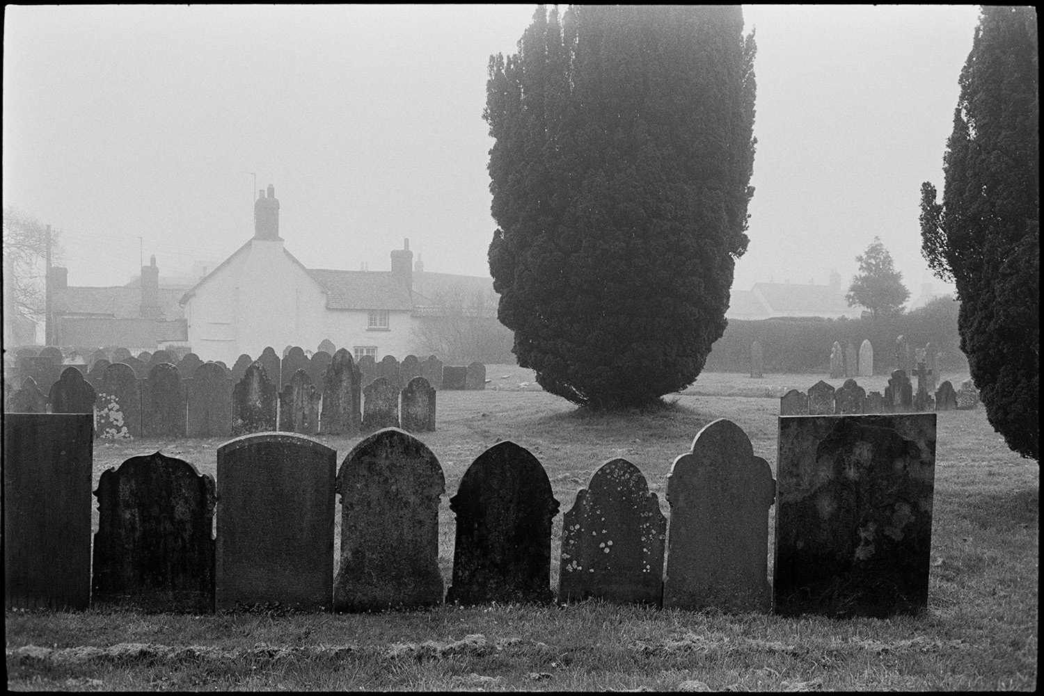 Church and graveyard, misty morning, tower with clock. Gravestones in row. 
[Rows of gravestones by yew trees in Burrington Churchyard on a misty morning.]
