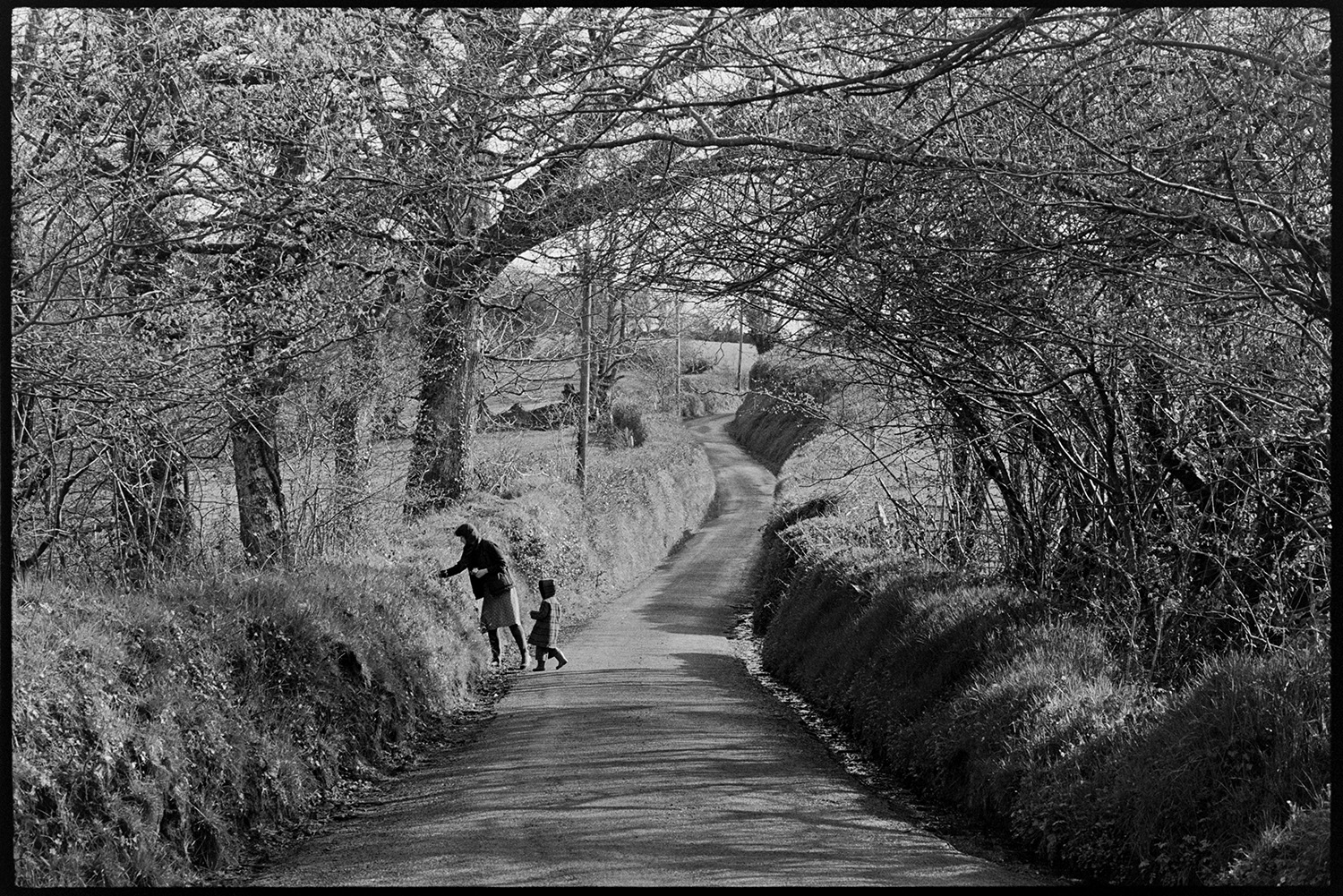 Woman and child picking flowers in country lane, trees overhead. 
[Robin Ravilious and Ella Ravilious picking flowers from a hedgebank with trees along a lane at Addisford, Dolton.]