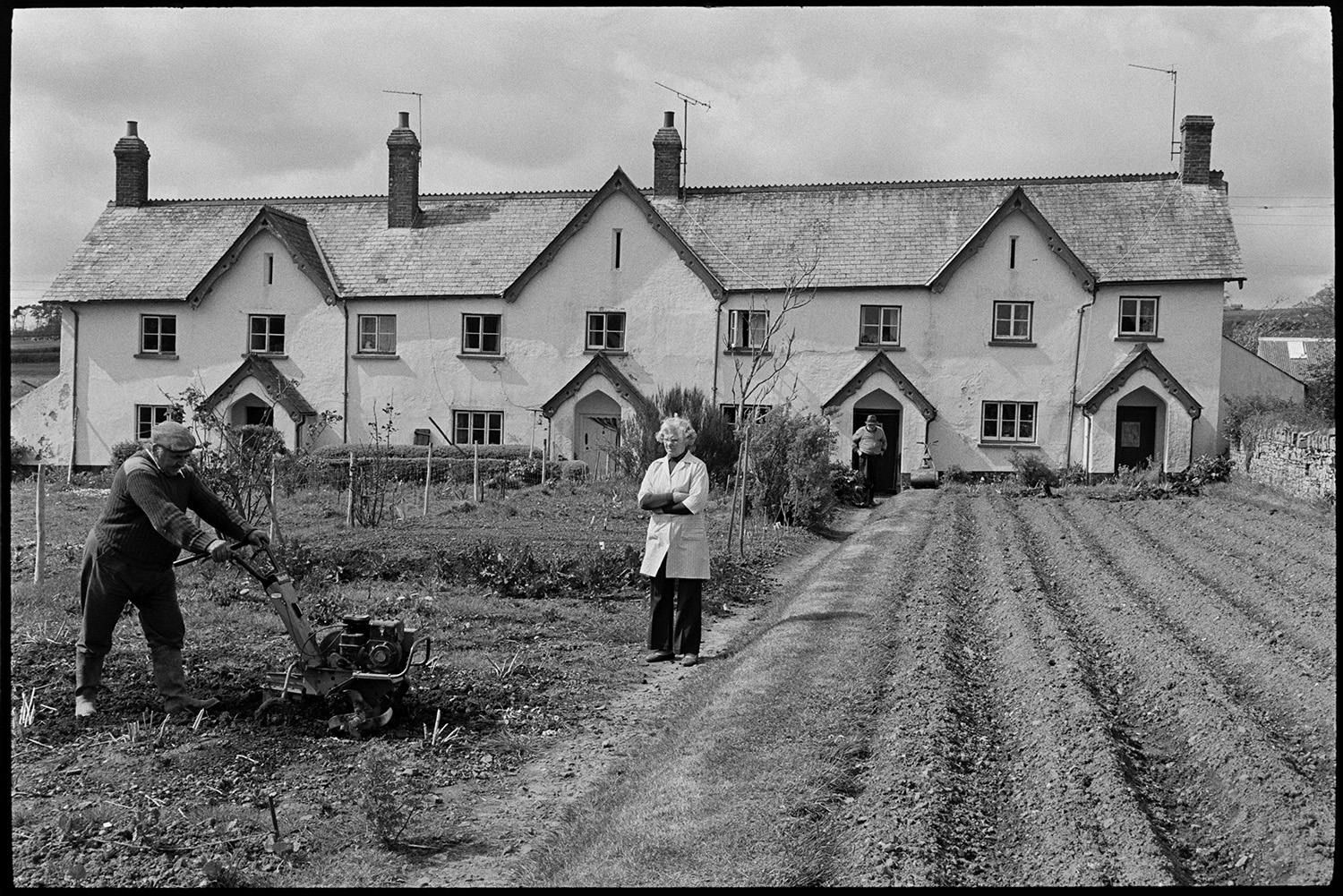 Man using rotavator digger in garden of estate cottages. <br />
[A man using a rotavator to turn the soil in a garden in front of a terrace of estate cottages in Merton. A woman and another man are watching him.]