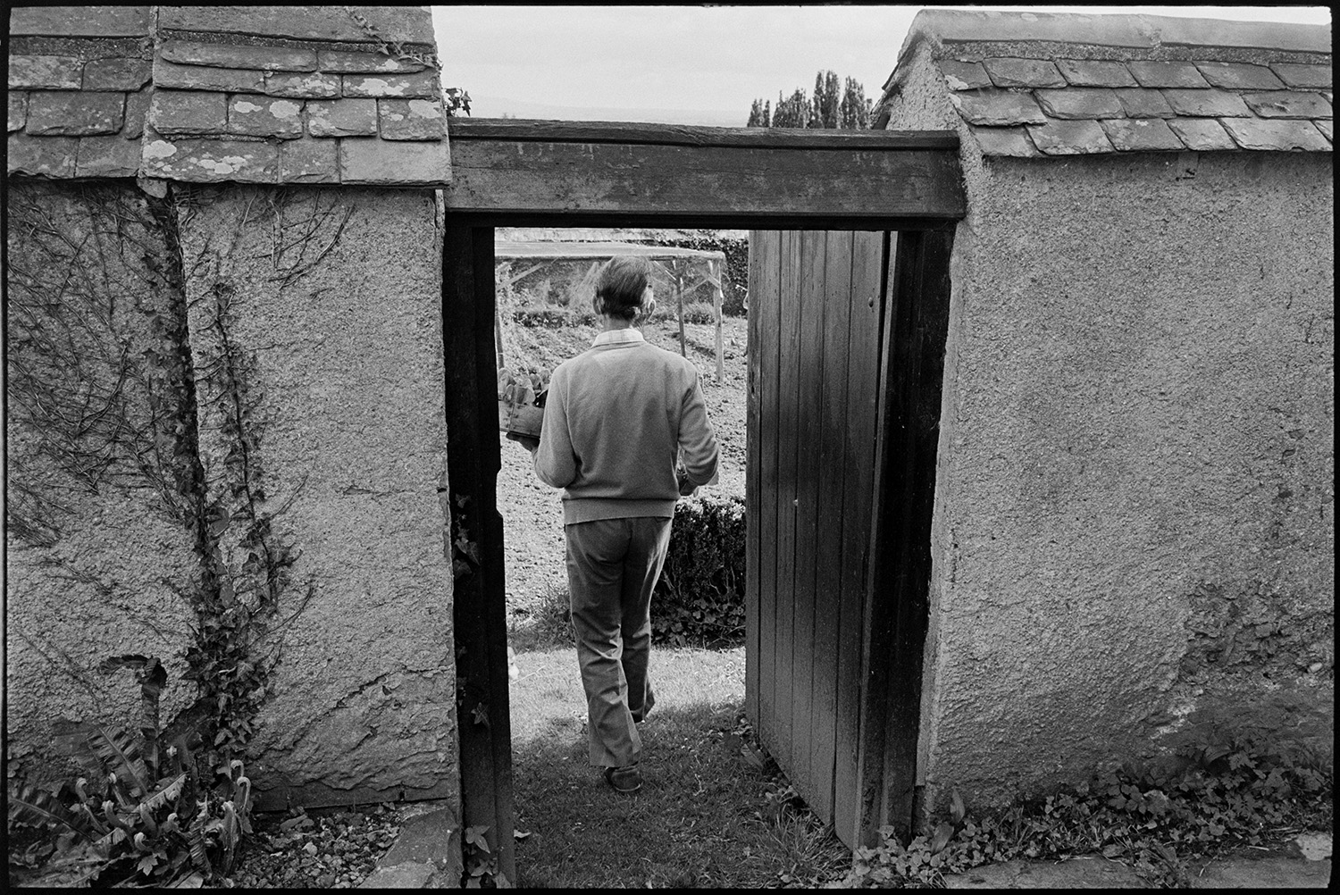 Man planting spring vegetables in walled garden, view of distant hills, Dartmoor. <br />
[A man walking through the entrance of a walled garden to plant spring vegetables at The Old Rectory, Merton. A netted fruit cage can be seen through the doorway.]