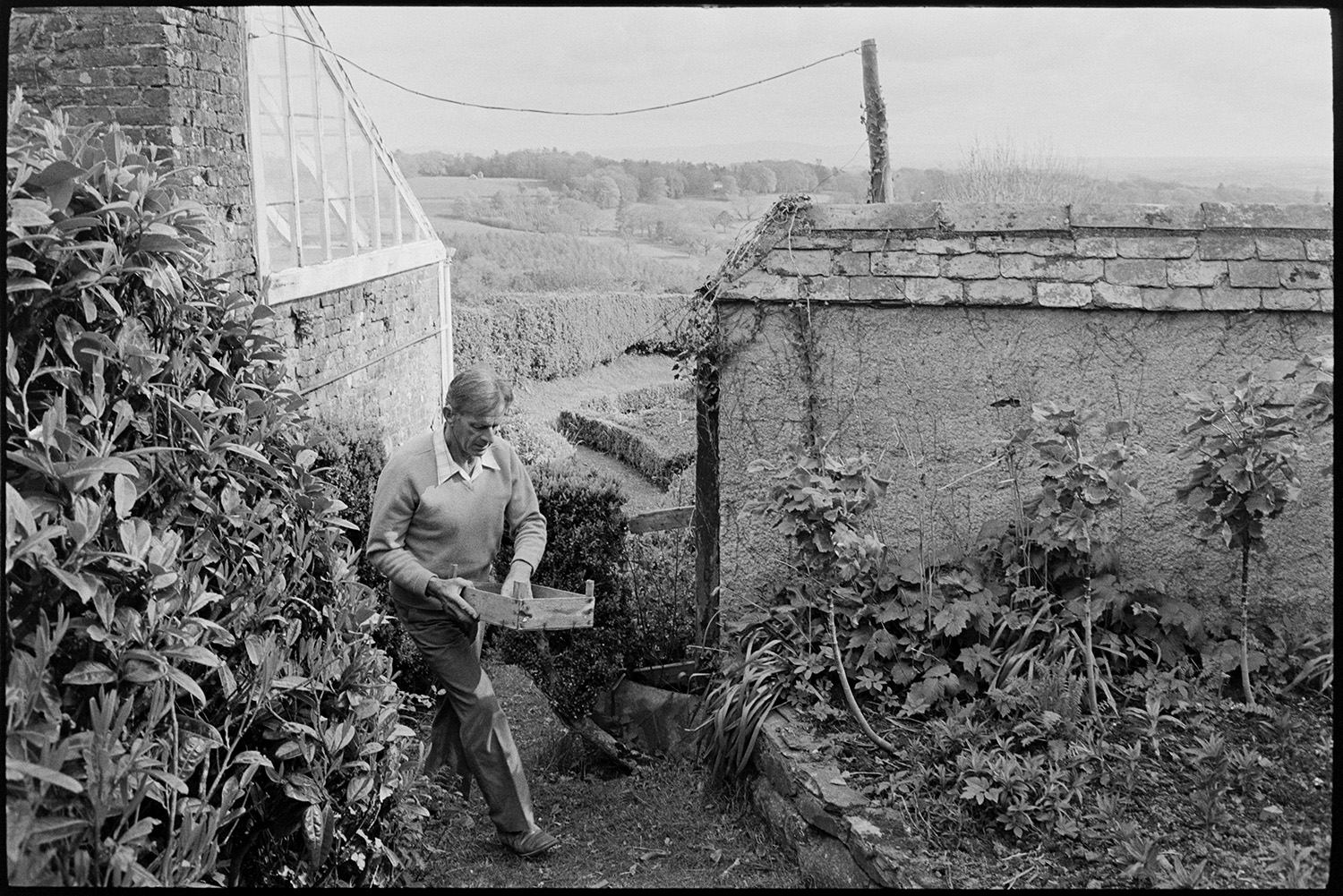Man planting spring vegetables in walled garden, view of distant hills, Dartmoor. 
[A man carrying a tray of seeds to plant in the walled garden at The Old Rectory, Merton. A greenhouse can be seen in the background, and fields and trees in the distance.]