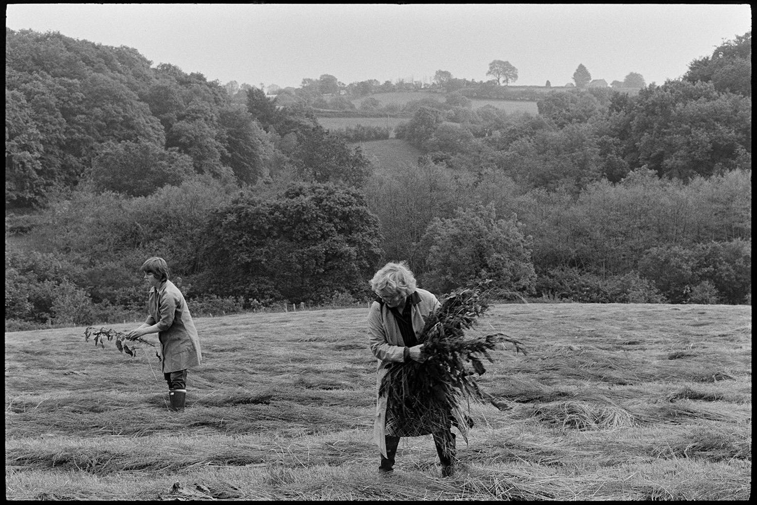 Women picking up thistles from hayfield.
[May Pugsley and another person picking up thistles by hand from cut hay, in a field at Lower Langham, Dolton A wooded area can be seen in the background.]