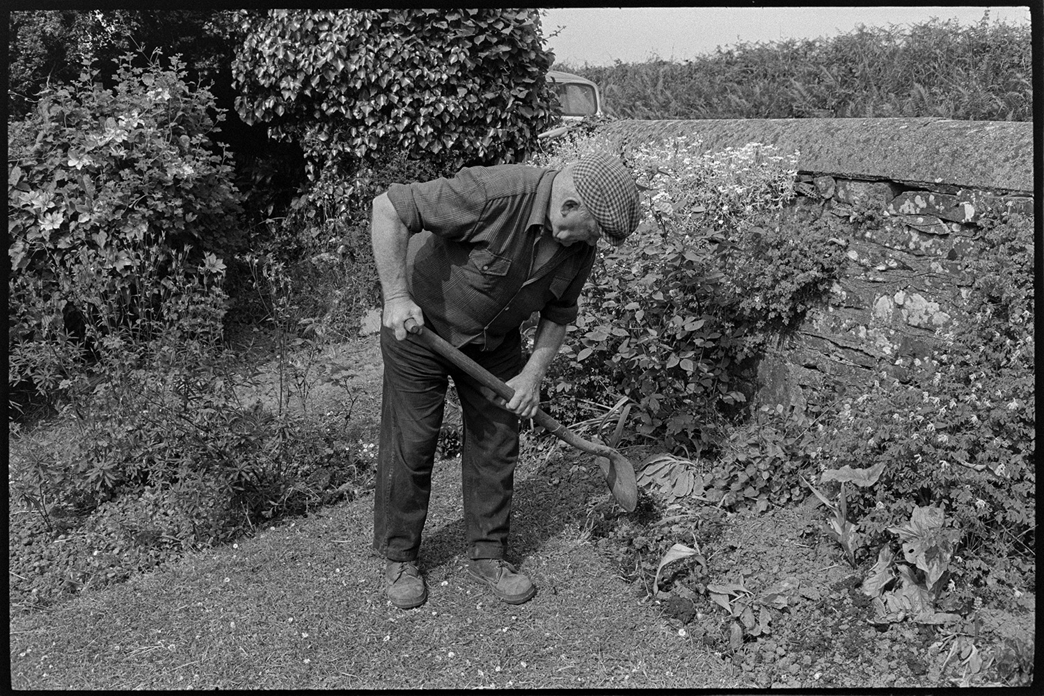 Man gardening, edging lawn. 
[A man using a Devon spade to trim the edge of a lawn in a garden at Wordens Cottages, Kingscott. A flower bed and wall surround the lawn. ]
