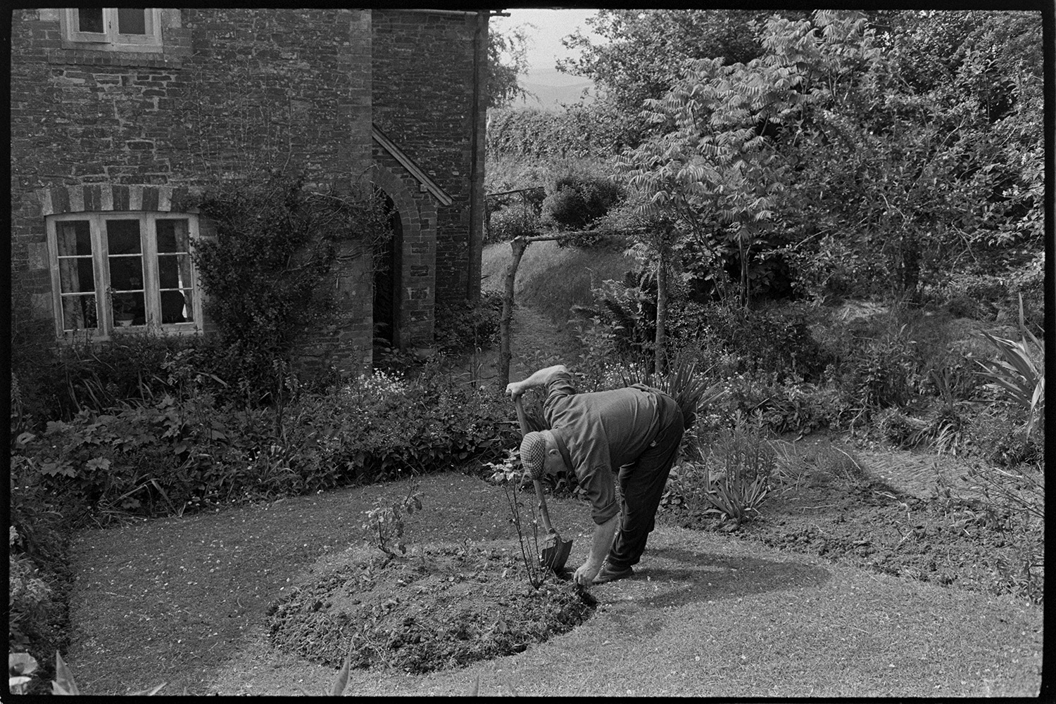 Man gardening, edging lawn. 
[A man using a Devon spade to trim the edge of a lawn in a garden at Wordens Cottages, Kingscott. He is working around a circular flower bed in the centre of the lawn. A stone cottage, trees and cobbled path can be seen in the background.]