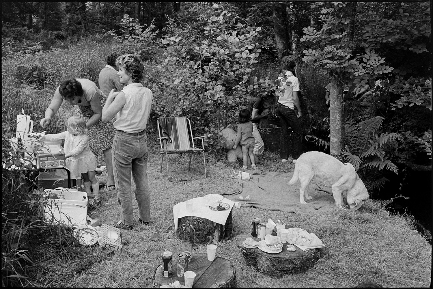 People picnicking in wood beside stream. 
[Women, children and a dog having a picnic in a small clearing by a stream in Dolton Wood. They have a garden chair, picnic rug and food and drink laid out on tree stumps.]