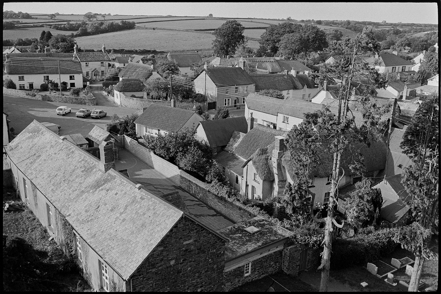 View of village and school from church tower. 
[A view of the village of Dolton taken from Dolton Church tower. Houses and thatched cottages are visible and Dolton Primary School and playground can be seen in the foreground.]