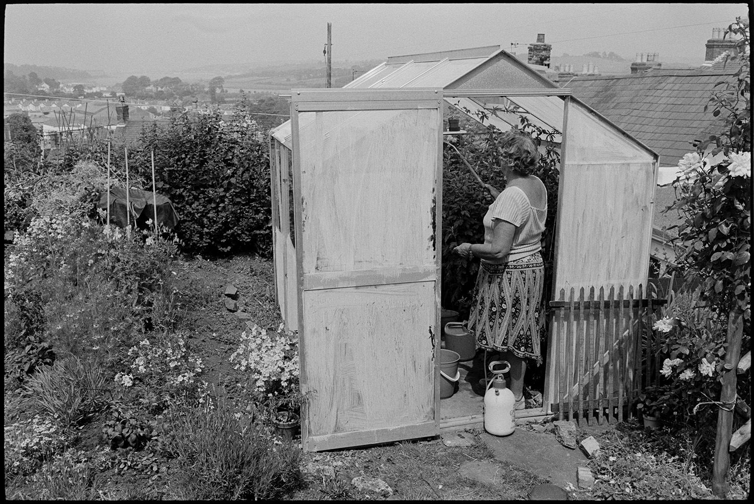Woman spraying plants in small greenhouse. 
[A woman spraying plants in a greenhouse in a garden at Bideford. Other plants and flowers can be seen in the garden.]
