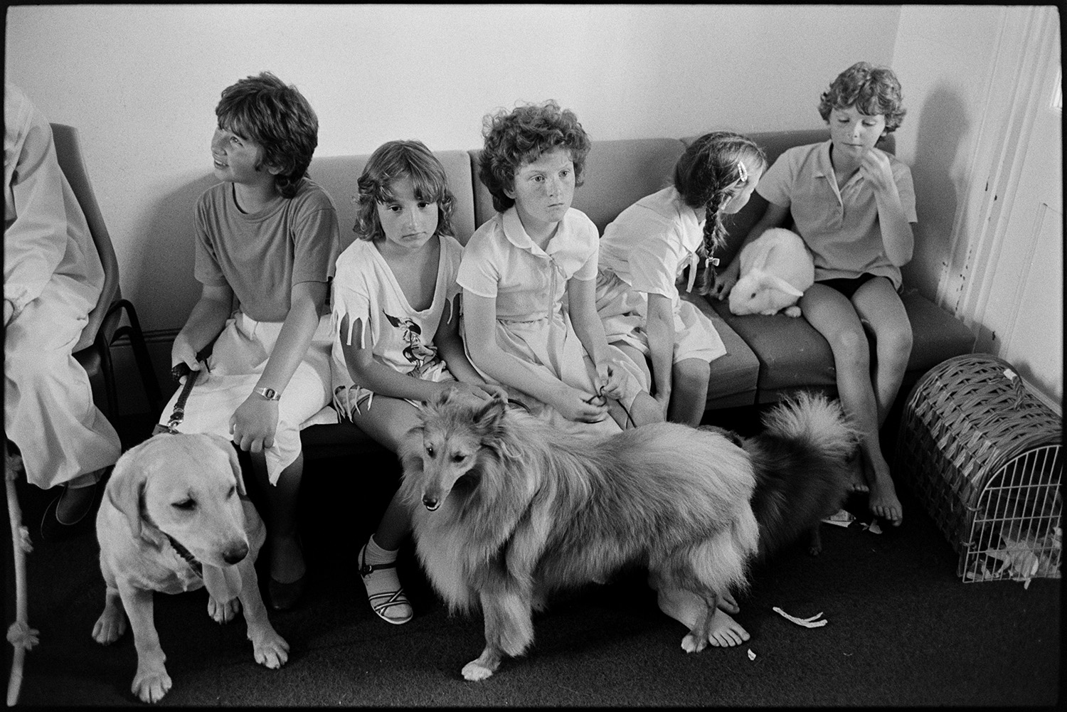School fete. Stalls. Fancy dress. Pets being judged, pet slug 22! Produce, dogs. Vintage Car rides. 
[Children sat on a sofa with their pets including dogs and a rabbit, waiting to be judged in a pet competition at the school fete at Edgehill College, Bideford.]