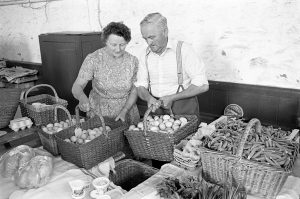 Olive and Jack Lee's produce stall by James Ravilious