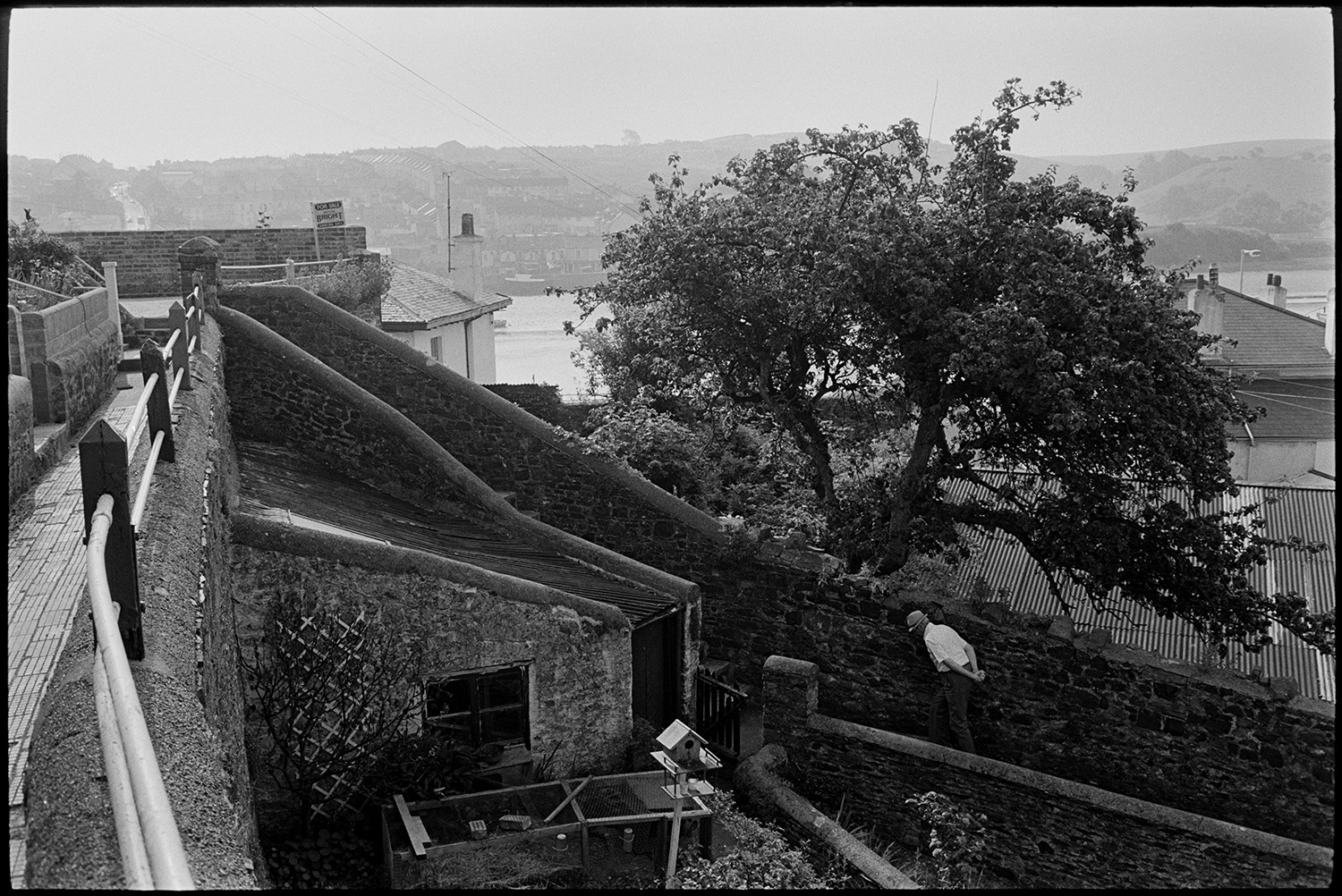 Walled path between gardens. 
[A man walking along a walled path between gardens at Bideford. A tree and corrugated iron roof can be seen behind one of the walls and the River Torridge is visible in the background. A hutch and bird table are visible in the garden in the foreground.]